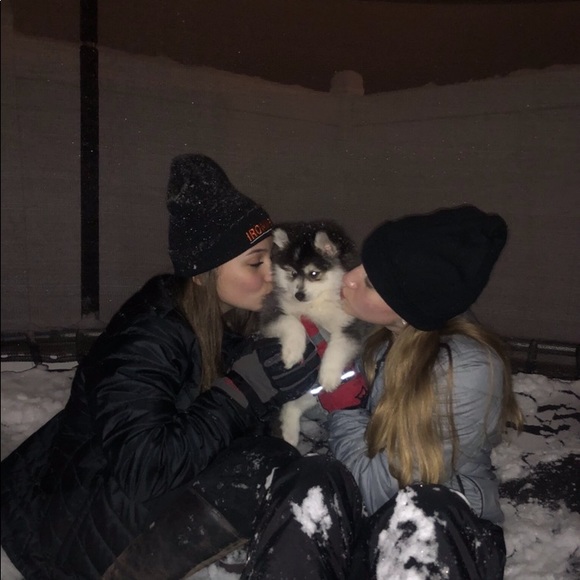 Meet your Posher, Kylie - Picture 1 of 1